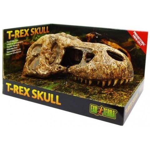 EXO TERRA T-Rex skull czaszka dinozaura