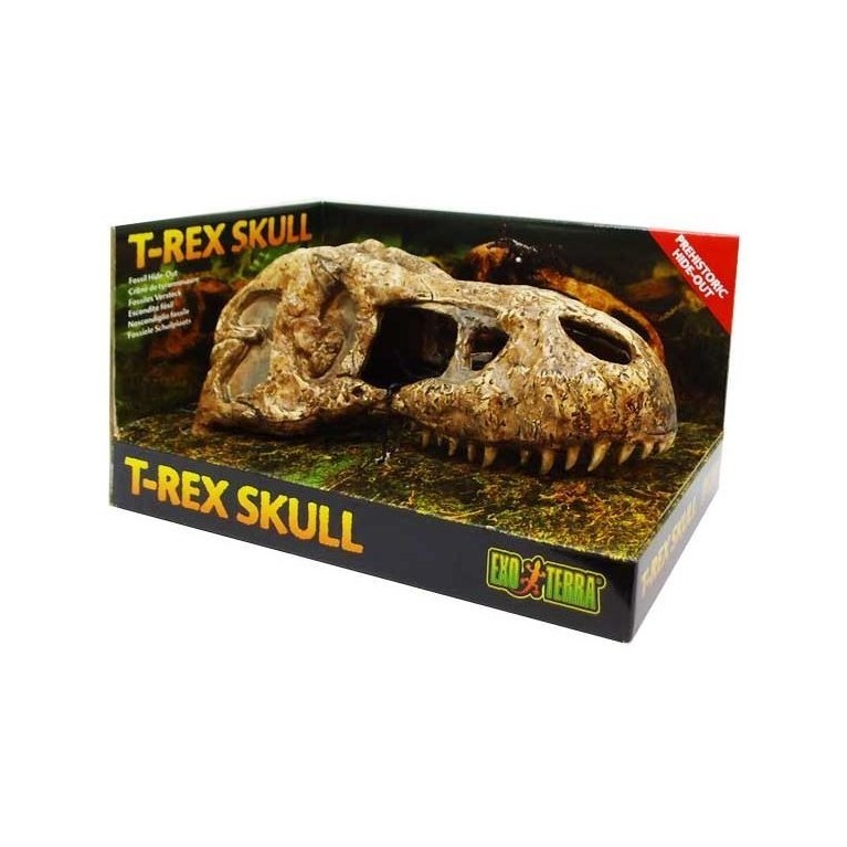 EXO TERRA T-Rex skull czaszka dinozaura