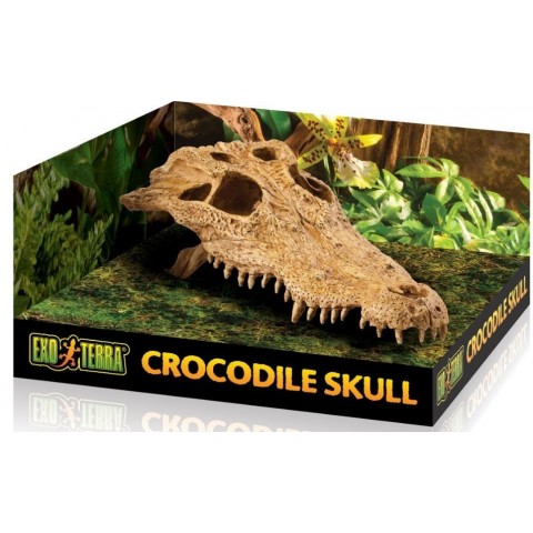 EXO TERRA Crocodile Skull czaszka krokodyla