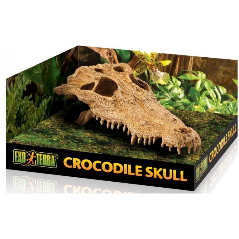 EXO TERRA Crocodile Skull czaszka krokodyla