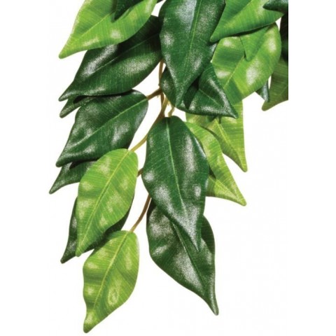 EXO TERRA roślina wisząca Fikus 40 50 70 cm