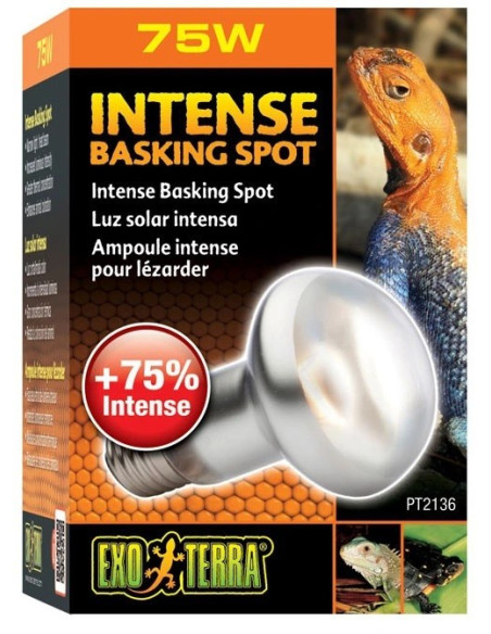 exo-terra-intense-basking-spot-75w-zarowka-grzewcza